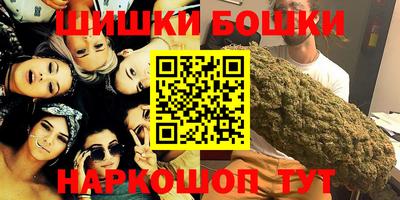 МДПВ Татарск