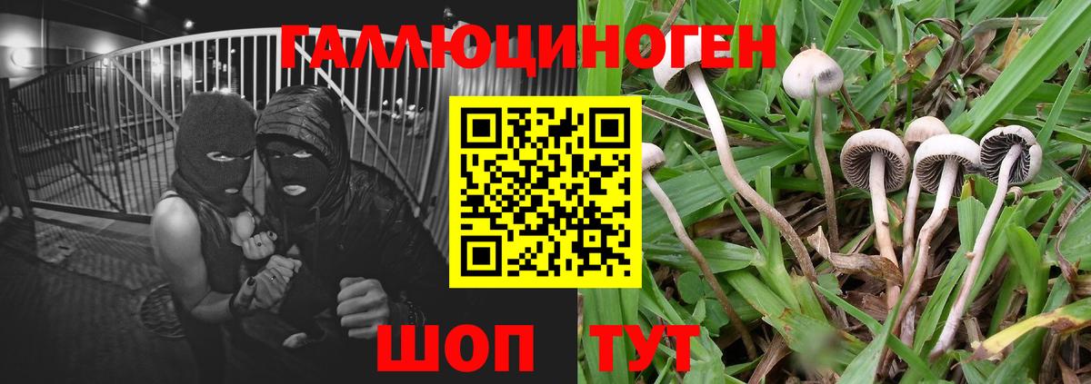 Острогожск  Галлюциногенные грибы ЛСД  Галлюциногенные грибы мухоморы  Вход с VPN 